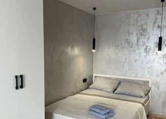 Сдается в аренду 1-комнатная квартира, 33 м2, Омск, улица Масленникова, 183