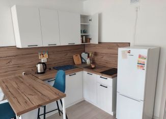 Сдам квартиру студию, 26 м2, Екатеринбург, Советская улица, 62Б, ЖК Цветной Бульвар