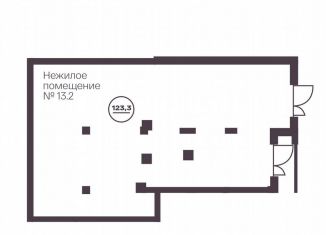 Продаю помещение свободного назначения, 123.3 м2, Челябинск, проспект Ленина, 19В, Тракторозаводский район