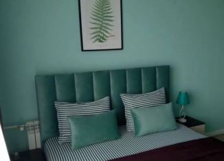 Сдаю в аренду квартиру студию, 30 м2, Пенза, улица Генерала Глазунова, 17