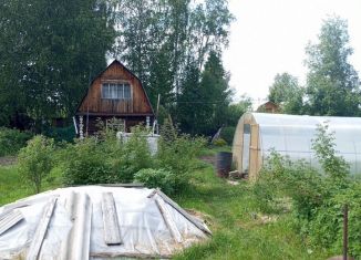 Продам дачу, 20 м2, Пермь, СНТ Черёмушки, 60