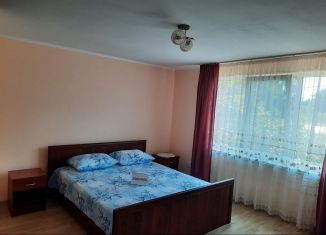 Сдаю дом, 52 м2, Сириус, Полевая улица, 10