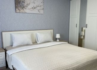 1-ком. квартира в аренду, 54 м2, деревня Мокшино, Норильский бульвар, 11