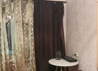 Квартира в аренду студия, 24.5 м2, Мурманская область, улица Виктора Миронова, 10