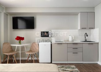 Продам 1-комнатную квартиру, 27.5 м2, Сухой Лог, улица Белинского, 40