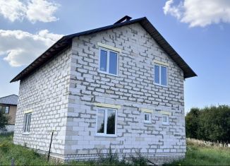 Продаю дом, 160 м2, деревня Быльники, Счастливая улица, 223