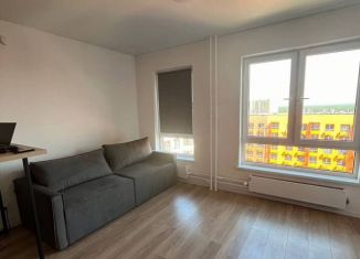 Квартира в аренду студия, 26 м2, деревня Новое Девяткино, Главная улица, 10