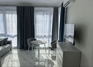 Продажа квартиры студии, 26.5 м2, Сочи, Виноградная улица, 219с1, микрорайон Мамайка