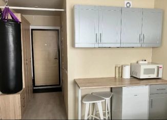 Продаю квартиру студию, 20 м2, Тюмень, улица Новосёлов, 115, ЖК Москва