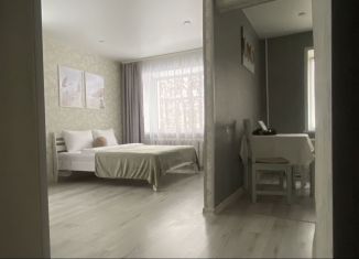 Сдается 1-ком. квартира, 31 м2, Ярославль, 1-я Жилая улица, 9