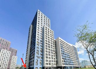 Сдается в аренду помещение свободного назначения, 82 м2, Санкт-Петербург, проспект Большевиков, 24к1, муниципальный округ № 54