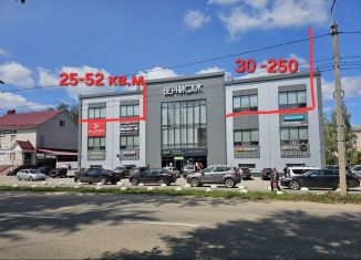 Сдаю в аренду торговую площадь, 52 м2, Гусь-Хрустальный, Теплицкий проспект, 7