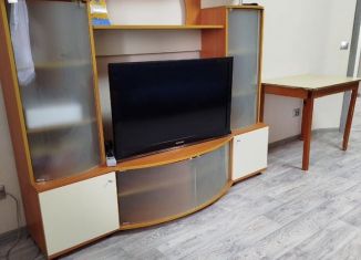 Сдаю в аренду 1-комнатную квартиру, 55 м2, Амурская область, Амурская улица, 270/1