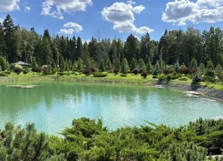 Продаю дом, 200 м2, деревня Семенково