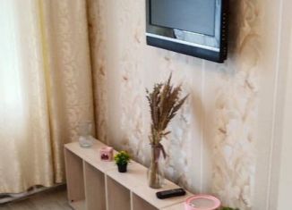 Продажа 1-ком. квартиры, 20 м2, поселок городского типа Урмары, улица Порфирьева, 9