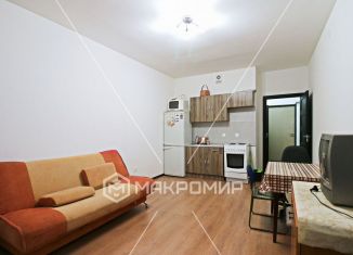 Сдается в аренду квартира студия, 26 м2, Мурино, улица Шувалова, 9, ЖК Гринландия
