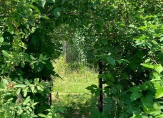 Продаю дачу, 25 м2, СДТ Первомайское, СДТ Первомайское, 443