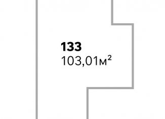 Продам помещение свободного назначения, 103.01 м2, Санкт-Петербург, Ириновский проспект, 34, муниципальный округ Ржевка