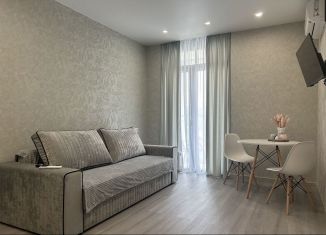 Сдаю квартиру студию, 22 м2, Сочи, Ясногорская улица, 16/2к2, микрорайон Бытха