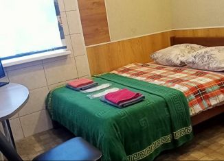 Аренда квартиры студии, 15 м2, Псковская область, улица В. Марго