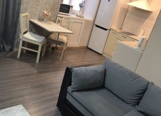 Сдам в аренду квартиру студию, 30 м2, Мурманская область, улица Бредова, 15А