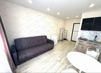 Продажа 1-комнатной квартиры, 18 м2, Липецк, Осенний проезд, 10