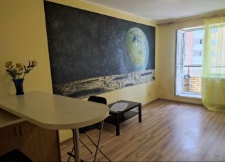 Продается квартира студия, 29.7 м2, Санкт-Петербург, Красносельский район, Ленинский проспект, 82к1