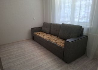 Сдам в аренду однокомнатную квартиру, 30 м2, Ростов-на-Дону, улица Висаитова, 10/9