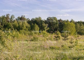 Продаю участок, 25 сот., деревня Раздоры