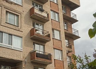 2-ком. квартира на продажу, 52.5 м2, Отрадное, Заводская улица, 11