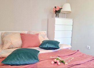 Сдача в аренду 1-комнатной квартиры, 31 м2, Вологда, улица Самойло, 13