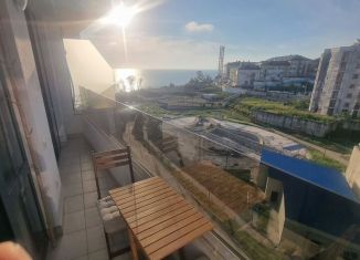 Сдается в аренду 1-ком. квартира, 38 м2, Сочи, Крымская улица, 44А, микрорайон Мамайка