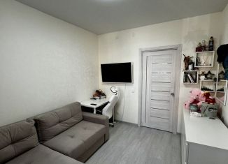 Продам 1-ком. квартиру, 23.6 м2, село Новое Шигалеево, улица Габдуллы Тукая, 29