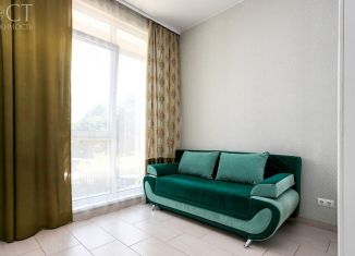 Продам квартиру студию, 22.5 м2, Сочи, СТ Экран, 58А, микрорайон Мамайка