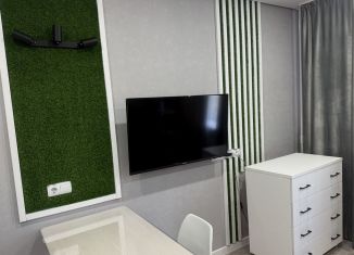 Продаю квартиру студию, 27 м2, Чебоксары, Эгерский бульвар, 3