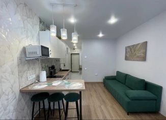 Продается квартира студия, 29.3 м2, Сочи, улица Ленина, 288, ЖК Лукоморье