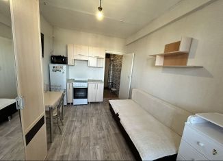 Сдаю 1-ком. квартиру, 20 м2, Йошкар-Ола, улица Машиностроителей, 2А, 3-й микрорайон