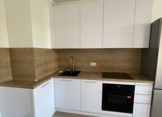 Сдам в аренду однокомнатную квартиру, 38 м2, Колпино, проспект Ленина, 60