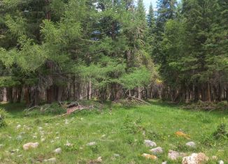 Продаю земельный участок, 250 сот., Республика Алтай