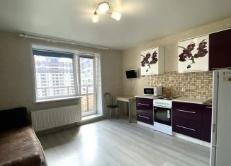 Квартира на продажу студия, 25 м2, Мурино, улица Шоссе в Лаврики, 59к1