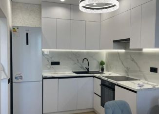 Продам 1-ком. квартиру, 45 м2, Ростов-на-Дону, Доломановский переулок, 124с2, ЖК Центральный