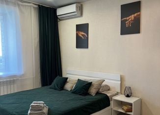 Сдам в аренду квартиру студию, 30 м2, Благовещенск, Новая улица, 44