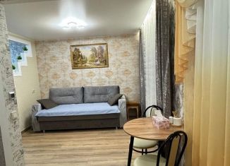 Сдается однокомнатная квартира, 32 м2, Кронштадт, Гражданская улица, 21