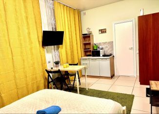 Сдача в аренду квартиры студии, 19 м2, Томская область, улица Говорова, 17Г