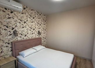 Сдача в аренду 2-комнатной квартиры, 47 м2, посёлок городского типа Дагомыс, Батумское шоссе, 14А