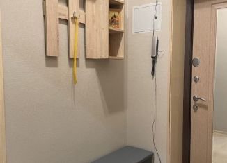 Сдам в аренду 1-ком. квартиру, 33 м2, Тверь, улица Добролюбова, 14