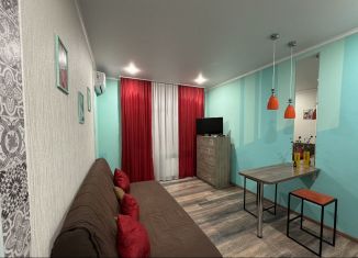 Сдача в аренду квартиры студии, 28 м2, Краснодар, улица им. Героя Сарабеева В.И., 5к5, микрорайон Панорама