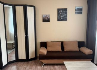 Аренда квартиры студии, 25.6 м2, Екатеринбург, улица Чемпионов, 3