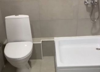 Сдам в аренду квартиру студию, 19 м2, деревня Столбово, проспект Куприна, 30к2