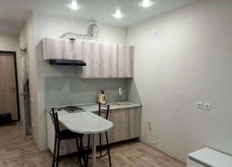 Квартира в аренду студия, 21 м2, Тюмень, улица Тимофея Чаркова, 28, ЖК Новый Мыс 3.0